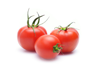 Tomato on white