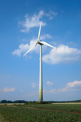 Fototapeta na wymiar wind energy / wind power / wind turbine