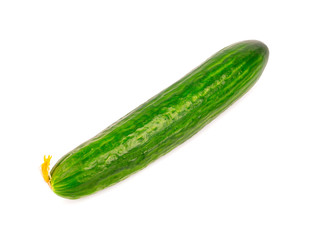 Cucumber