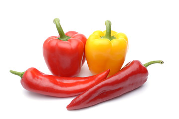 Colored peppers on white background