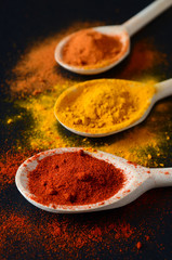 Colorful spices on cooking spoons