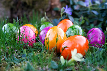 coloured eggs in a garden