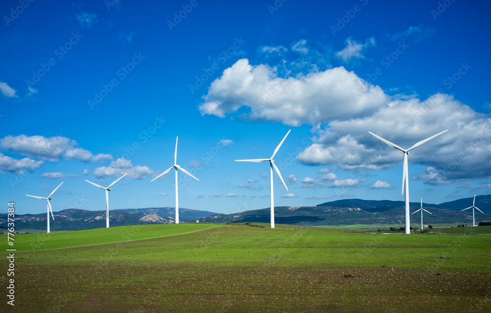 Wall mural windmills on green meadow. spain