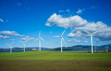 Windmills on green meadow. Spain
