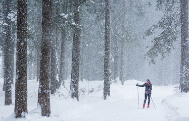 Cross country skiing through the woods.