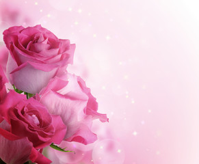 beautiful background with flowers roses