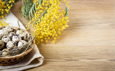 Quail eggs with mimosa branch