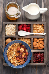 oats, granola muesli, nuts, honey, dried berries and milk.