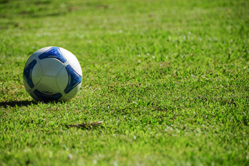 Fototapeta na wymiar Football or soccer ball. Grass field.