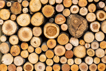 Wood texture background