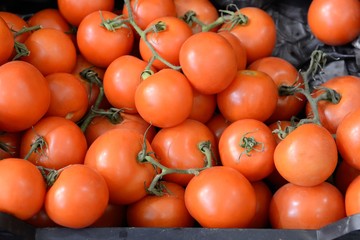 tomatoes closeup