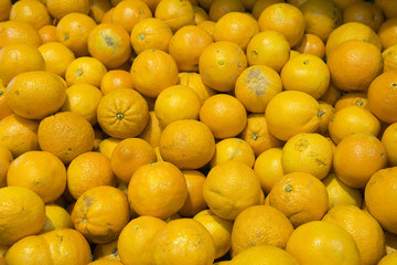 tangerines close-up