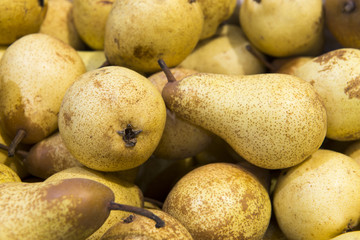 pears close-up
