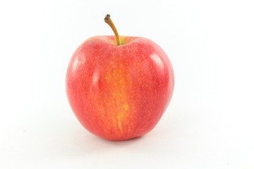 apple in white background