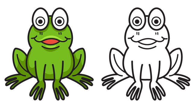 colorful and black and white frog for coloring book