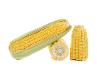 fresh sweet corn isolated on white background