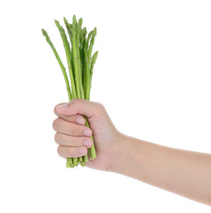 female hand holding fresh asparagus isolated on white background