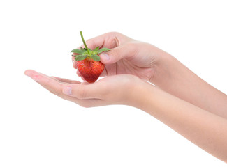 hand holding a strawberry isolated on white background