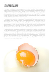 Egg