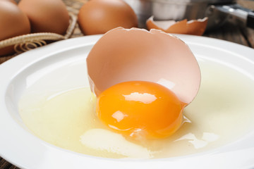Egg