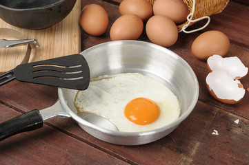 Egg