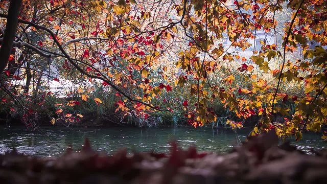 fiume in autunno