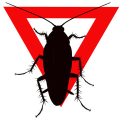 cockroach blattella germanice