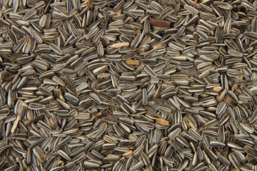 sunflower seeds as nice background