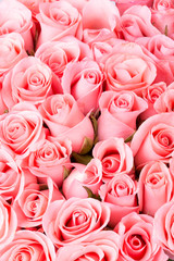 pink rose flower bouquet background