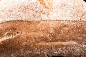 Loaf ciabatta bread