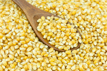 Yellow grain corn