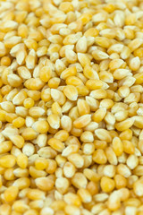 Yellow grain corn