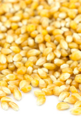 Close up yellow grain corn