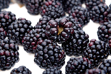 Blackberry background