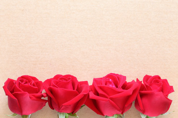 red rose flower on blank paper page for creative