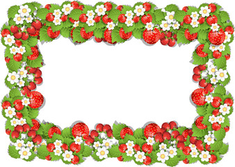 Frame of Strawberry