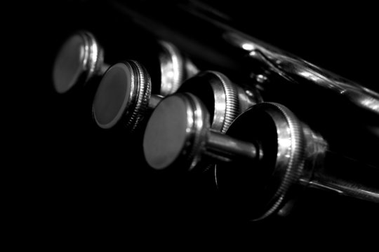 Fragment trumpet closeup