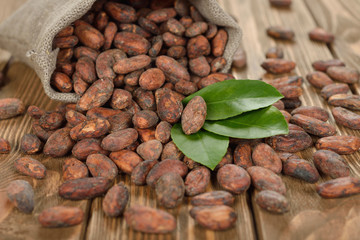 Cocoa beans