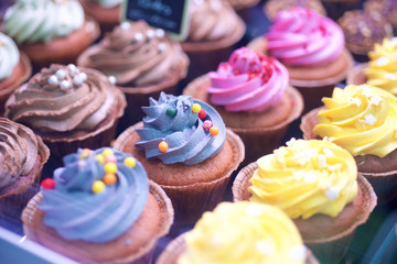 Colorful Cupcakes