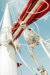 skeleton