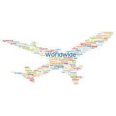 Fototapeta premium Conceptual travel or tourism plane word cloud
