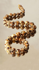 Amber jewelry