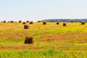 Hay bales on field