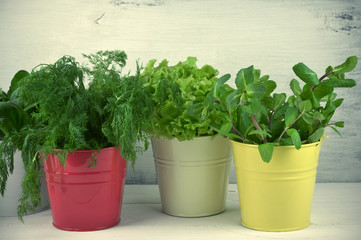 Flavoring greens in buckets