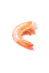 Shrimps on a white background