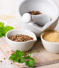 Coriander seeds, fresh coriander and powdered coriander