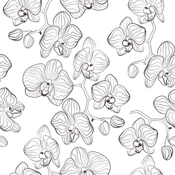 Seamless flower pattern with orchids phalaenopsis background