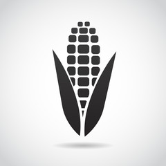 Corn vector icon.