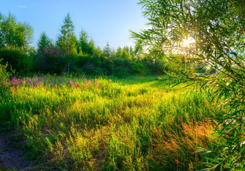 летний вечер