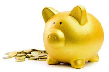 Piggy bank and coins